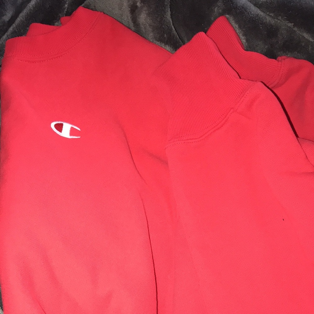 Champion crop hoodie